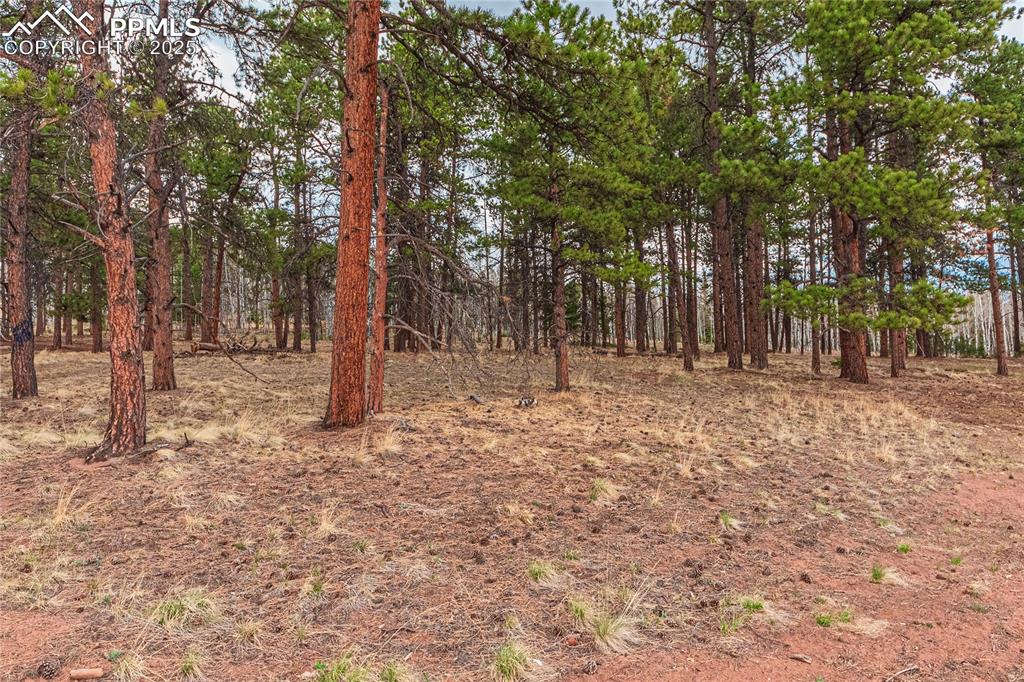 1290 Firestone Drive Woodland Park CO 80863