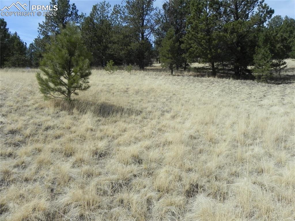 1058 Monarch Drive Cripple Creek CO 80813