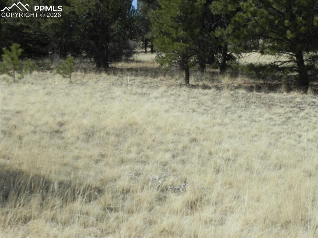 1058 Monarch Drive Cripple Creek CO 80813