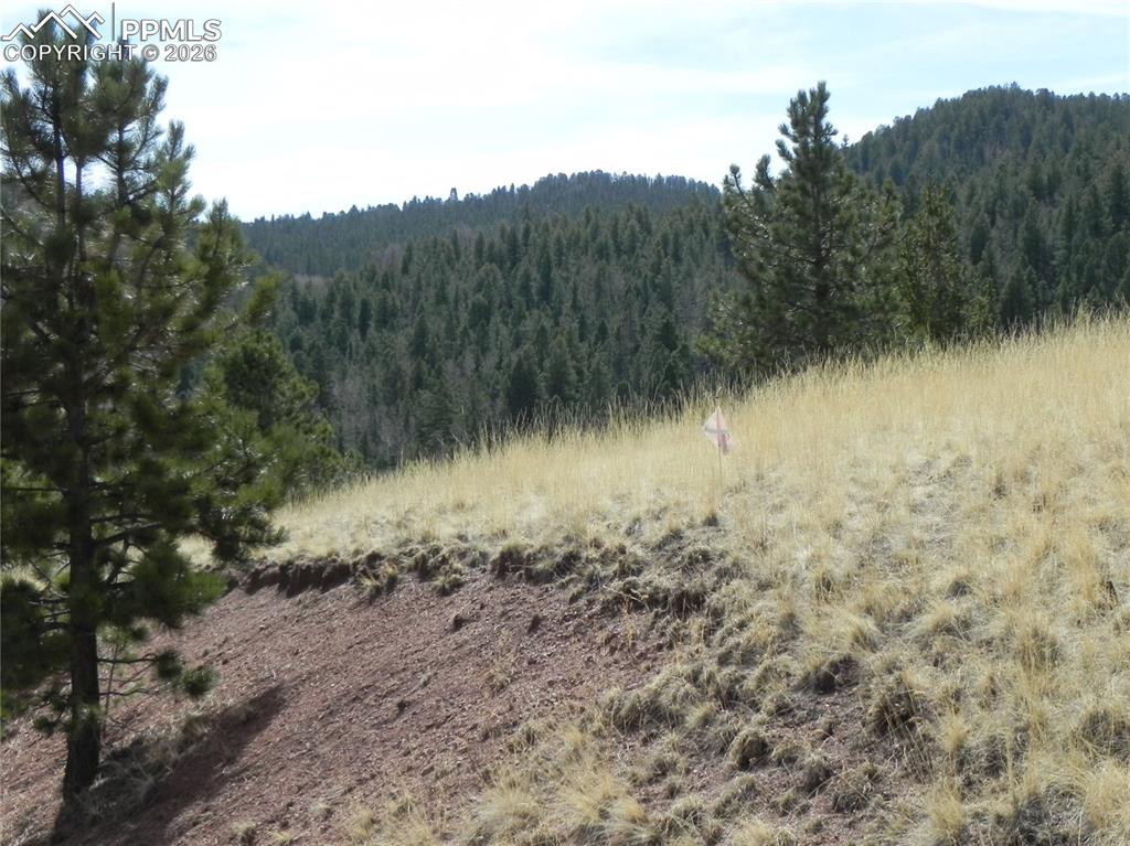 1058 Monarch Drive Cripple Creek CO 80813