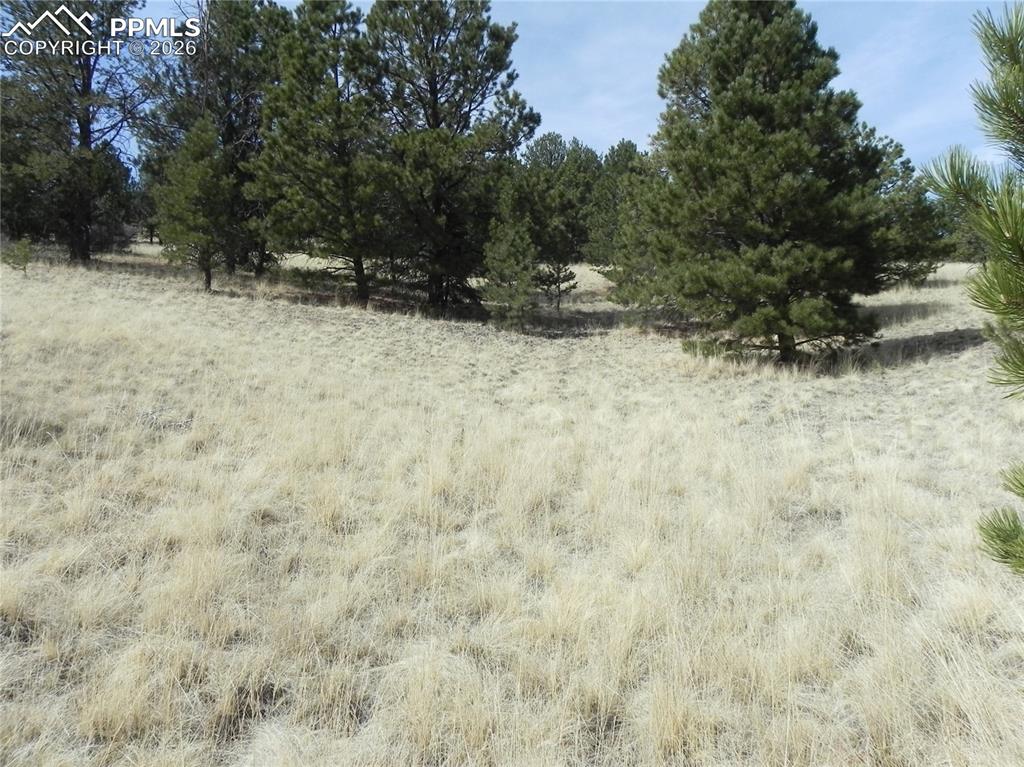 1058 Monarch Drive Cripple Creek CO 80813