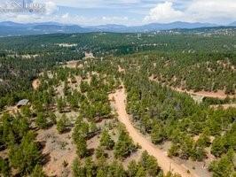 93 Kiowa Creek Trail Florissant CO 80816