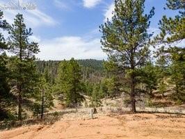 93 Kiowa Creek Trail Florissant CO 80816