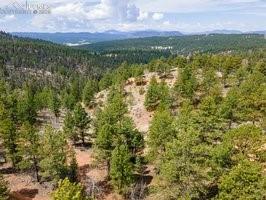 93 Kiowa Creek Trail Florissant CO 80816