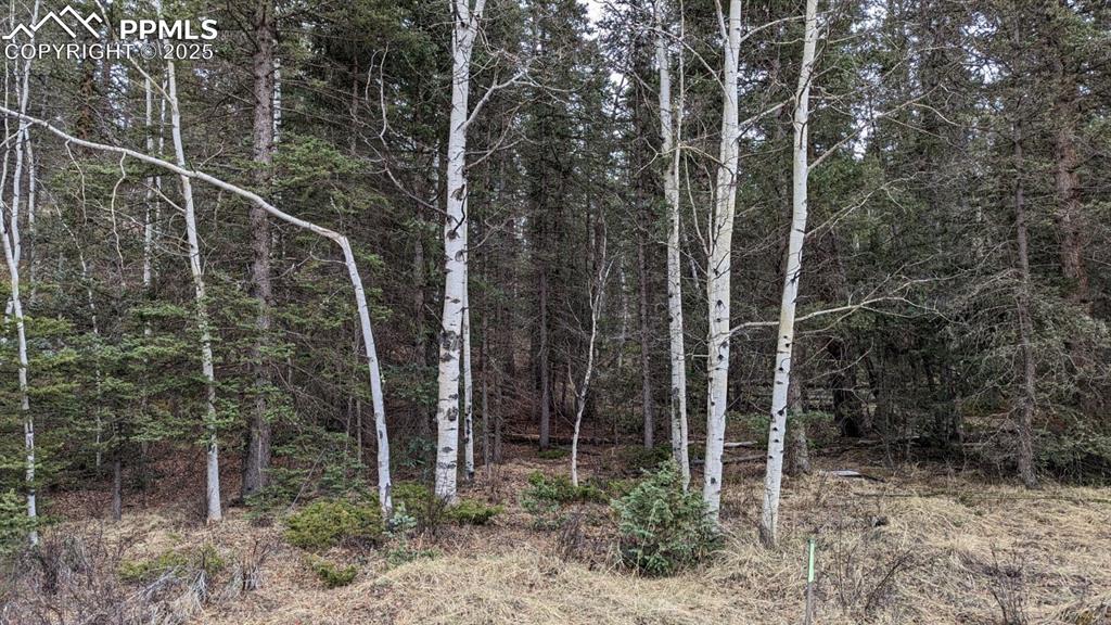 93 Kiowa Creek Trail Florissant CO 80816