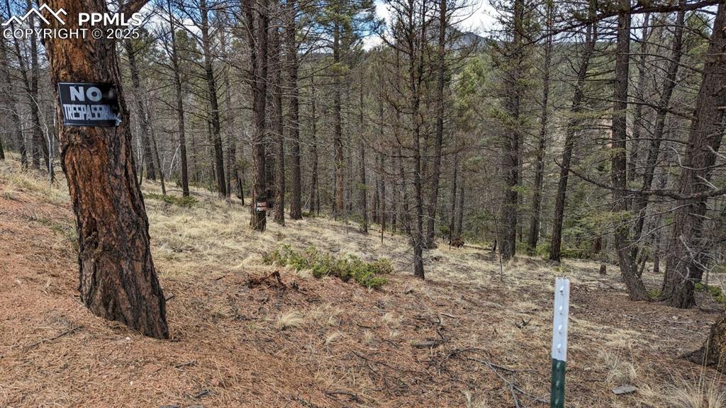 93 Kiowa Creek Trail Florissant CO 80816
