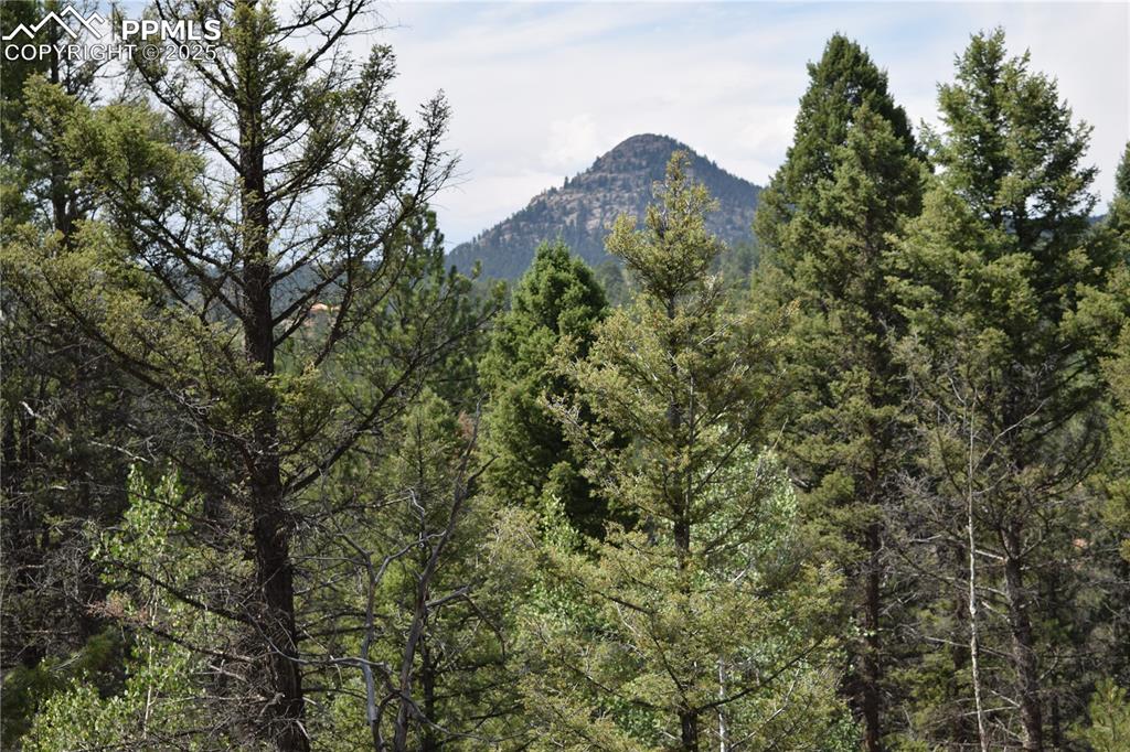 93 Kiowa Creek Trail Florissant CO 80816