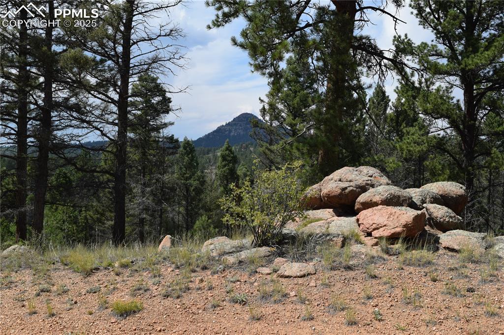 93 Kiowa Creek Trail Florissant CO 80816