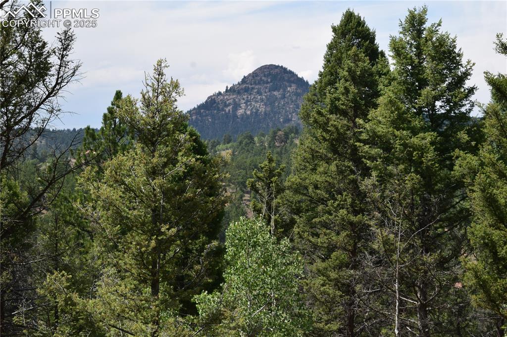 93 Kiowa Creek Trail Florissant CO 80816