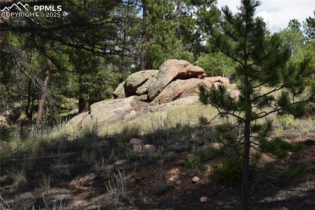 93 Kiowa Creek Trail Florissant CO 80816