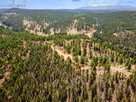 93 Kiowa Creek Trail Florissant CO 80816