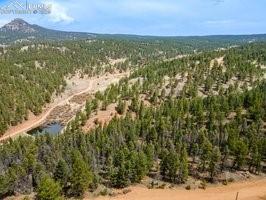 93 Kiowa Creek Trail Florissant CO 80816