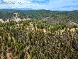 93 Kiowa Creek Trail Florissant CO 80816