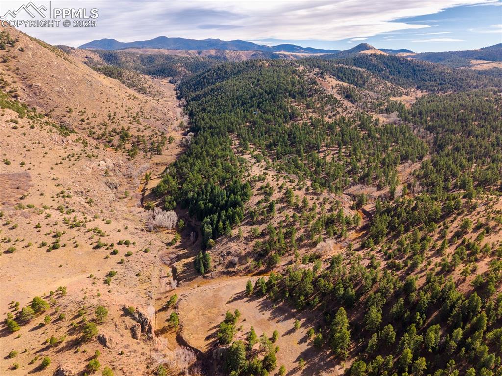 881 Vista De Aspen Road Westcliffe CO 81252