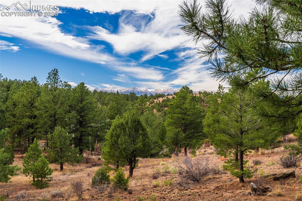 881 Vista De Aspen Road Westcliffe CO 81252
