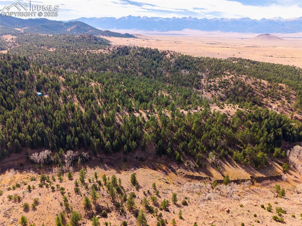 881 Vista De Aspen Road Westcliffe CO 81252