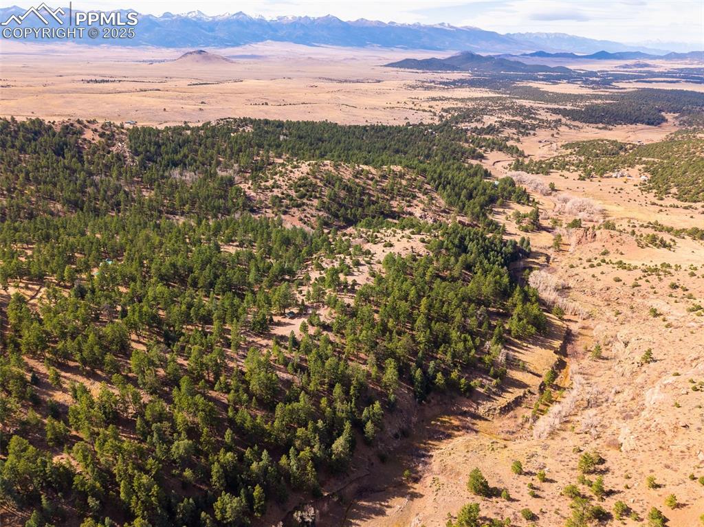 881 Vista De Aspen Road Westcliffe CO 81252