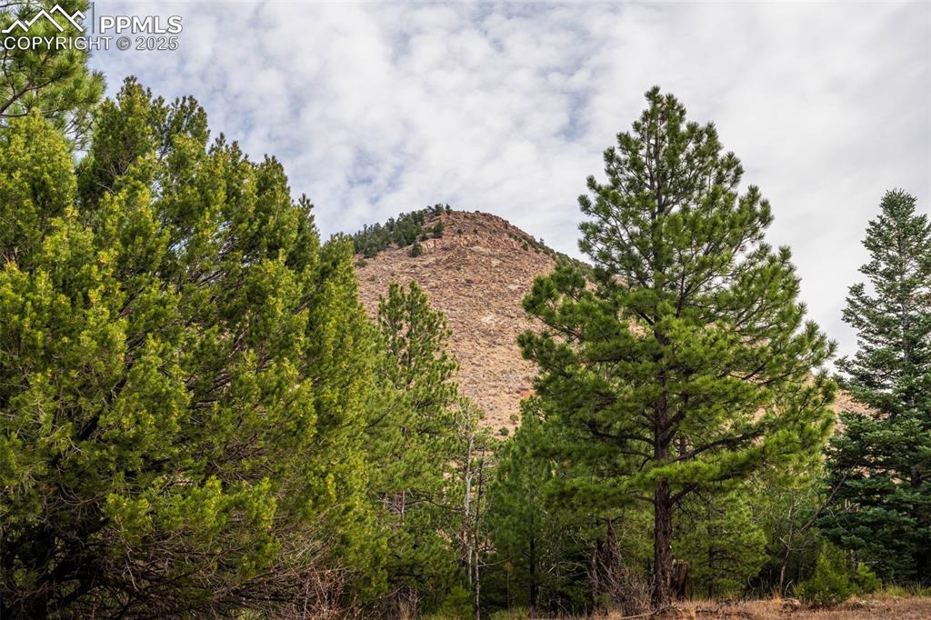 881 Vista De Aspen Road Westcliffe CO 81252