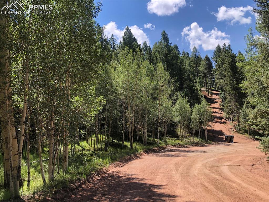 3015 N Mountain Estates Road Florissant CO 80816