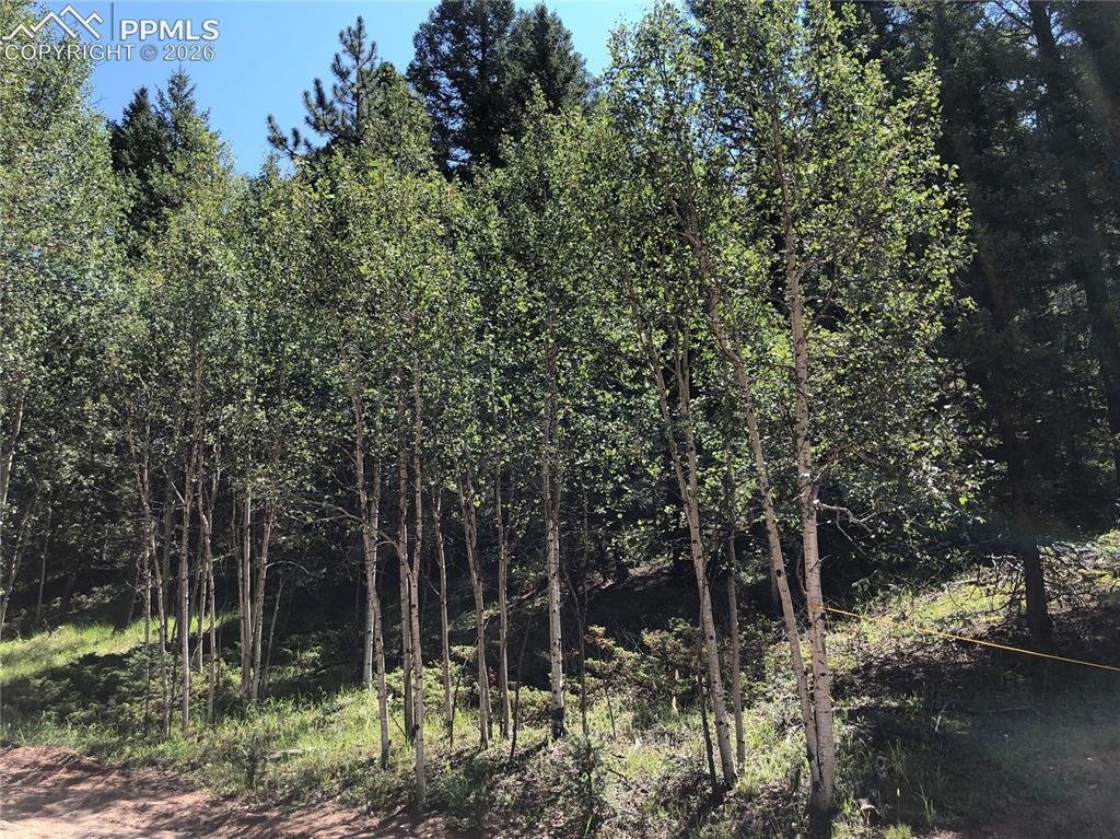 3015 N Mountain Estates Road Florissant CO 80816
