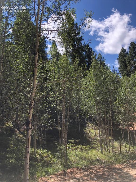 3015 N Mountain Estates Road Florissant CO 80816
