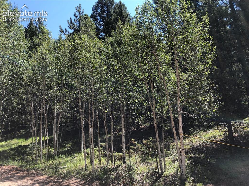 3015 N Mountain Estates Road Florissant CO 80816