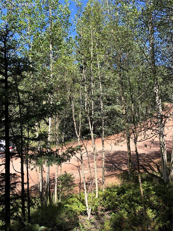 3015 N Mountain Estates Road Florissant CO 80816