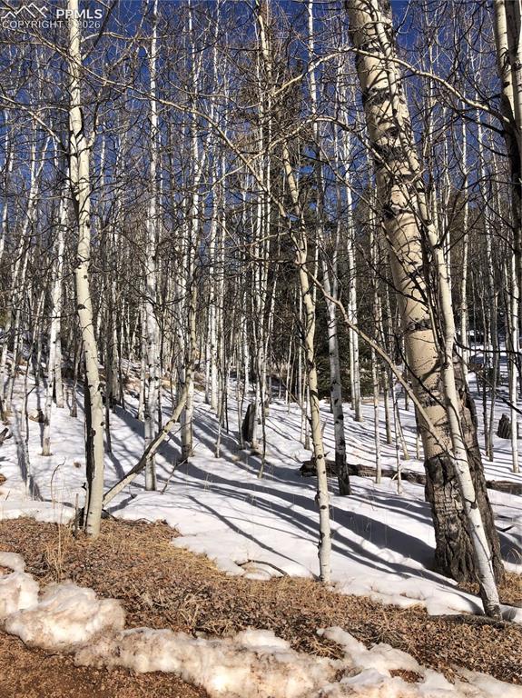 3015 N Mountain Estates Road Florissant CO 80816