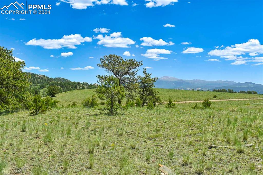 56 View Lane Guffey CO 80820
