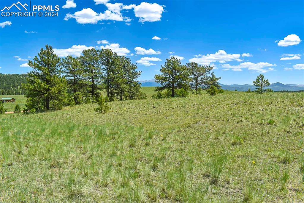 56 View Lane Guffey CO 80820