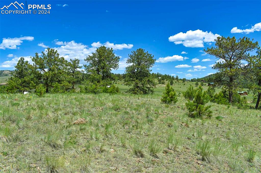 56 View Lane Guffey CO 80820