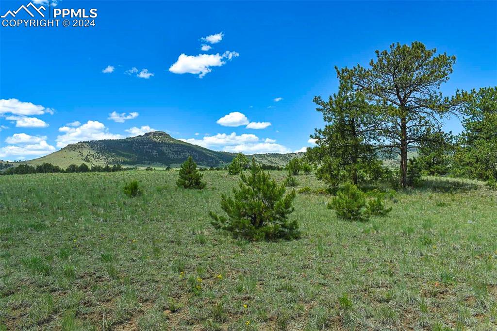 56 View Lane Guffey CO 80820