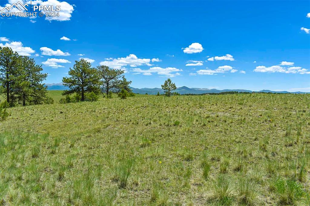 56 View Lane Guffey CO 80820