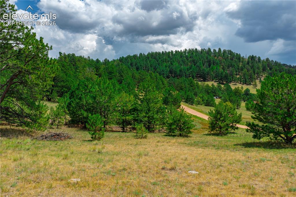 Lot 28 Penrose Circle Cripple Creek CO 80813