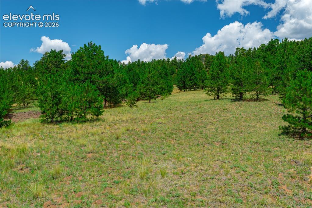 Lot 28 Penrose Circle Cripple Creek CO 80813
