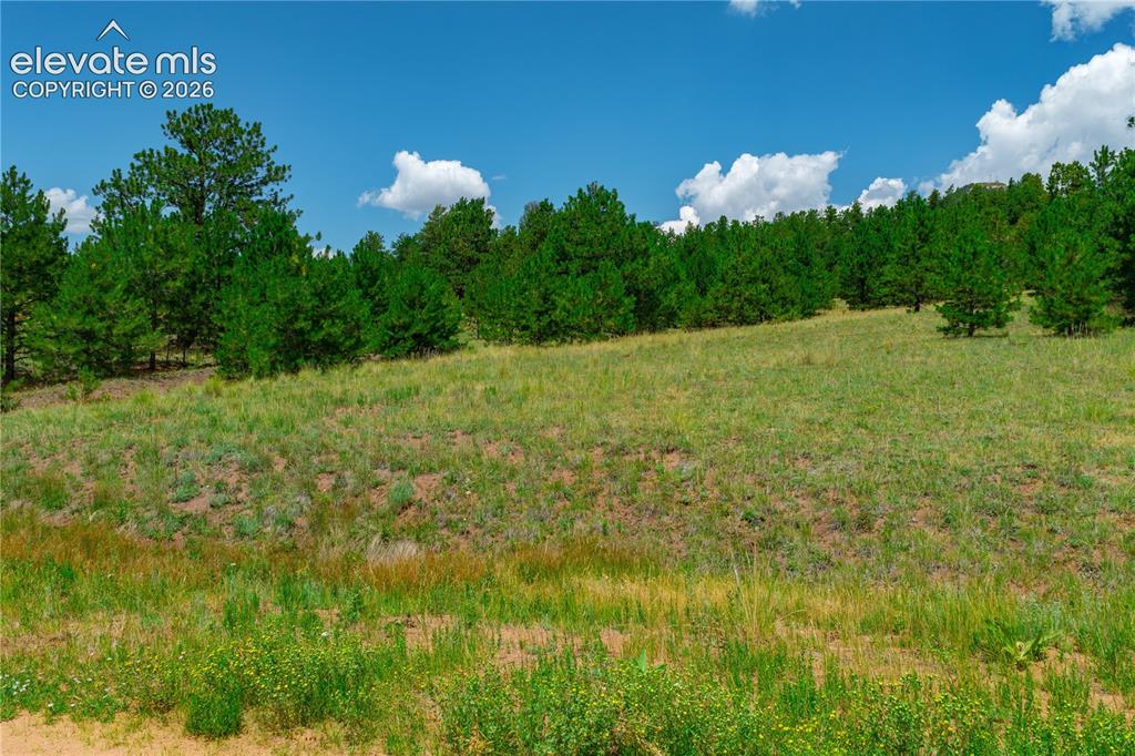 Lot 28 Penrose Circle Cripple Creek CO 80813