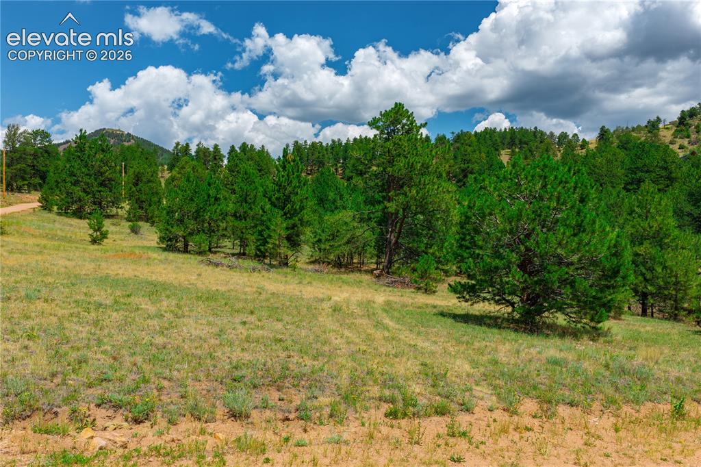 Lot 28 Penrose Circle Cripple Creek CO 80813