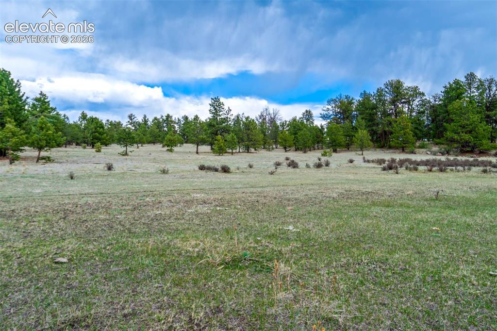 Tract 103 Doe Valley Road Guffey CO 80820