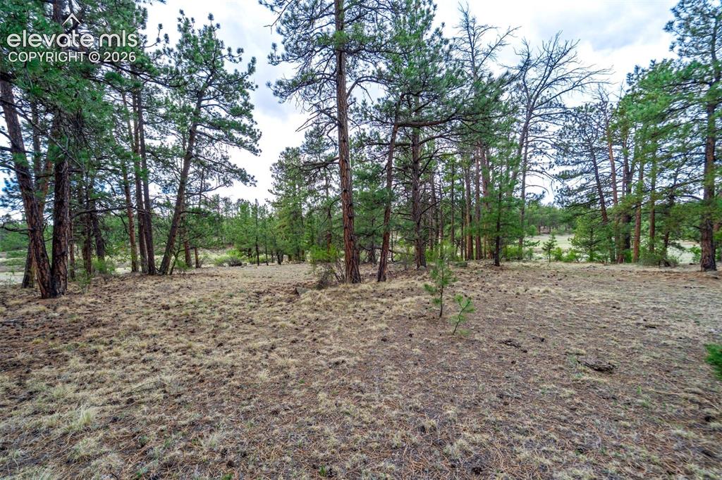 Tract 103 Doe Valley Road Guffey CO 80820