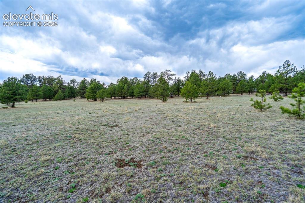 Tract 103 Doe Valley Road Guffey CO 80820