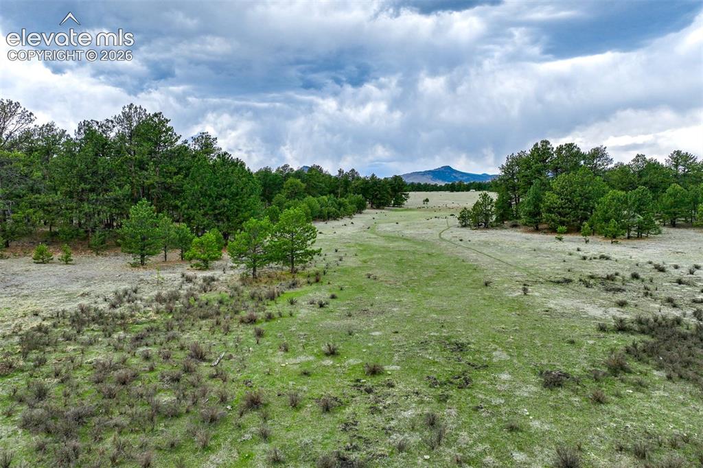 Tract 103 Doe Valley Road Guffey CO 80820