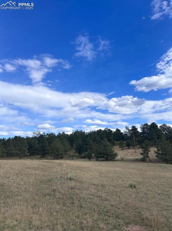 382 Arrowhead Drive Florissant CO 80816