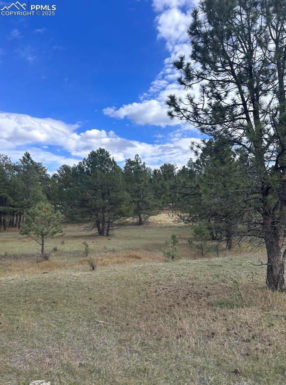 382 Arrowhead Drive Florissant CO 80816