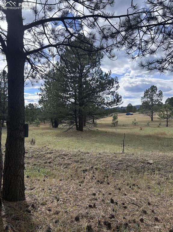 382 Arrowhead Drive Florissant CO 80816