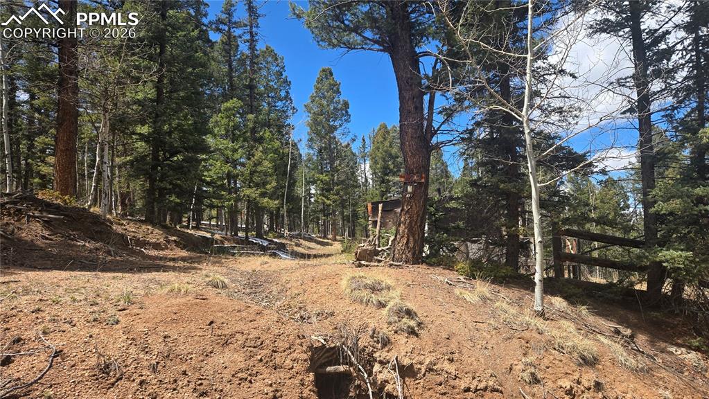 129 Mount Elbert Road Florissant CO 80816