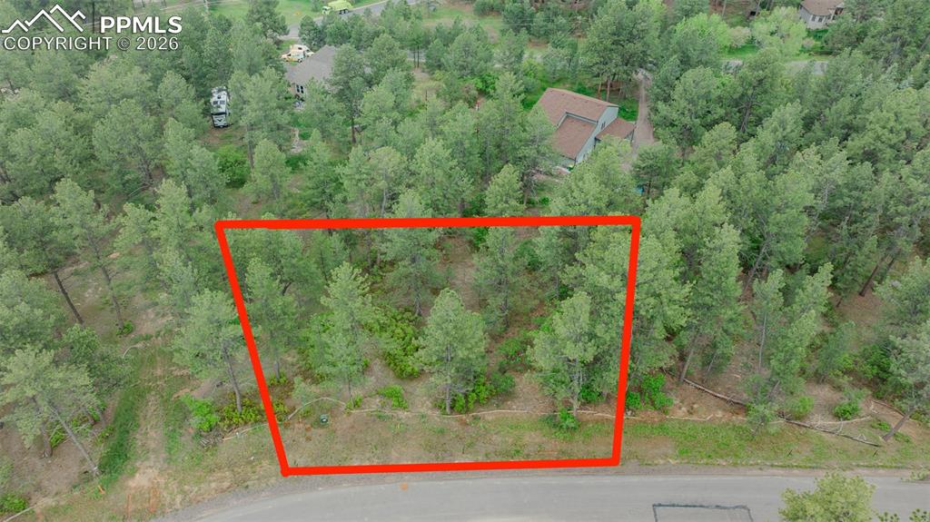 648 Copper Fox Place Larkspur CO 80118