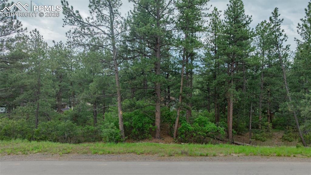 648 Copper Fox Place Larkspur CO 80118