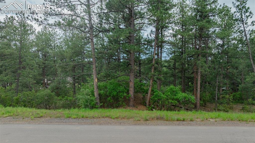 648 Copper Fox Place Larkspur CO 80118