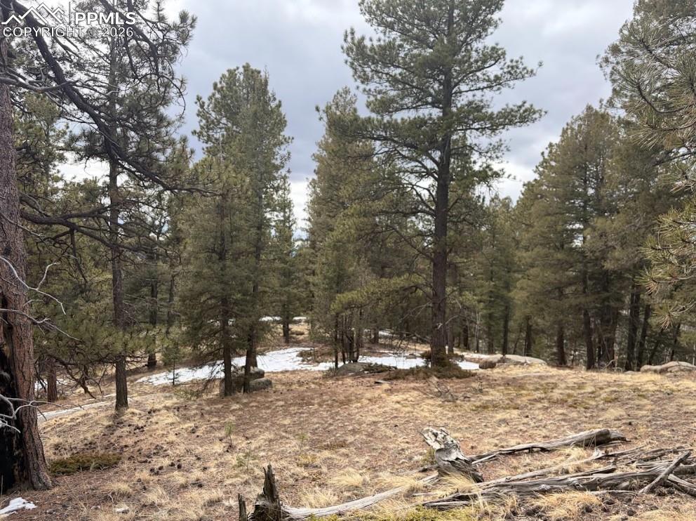 84 Point View Circle Florissant CO 80816