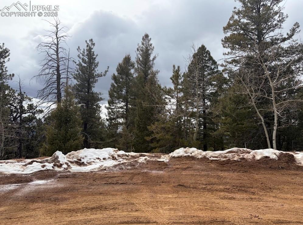 84 Point View Circle Florissant CO 80816
